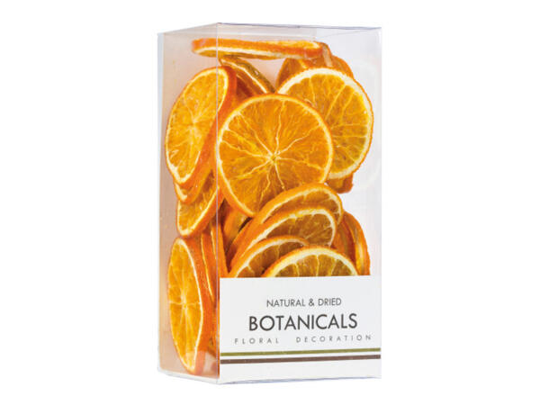 Botanical Decorations