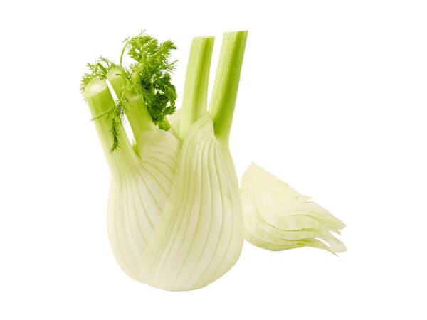 Fenouil