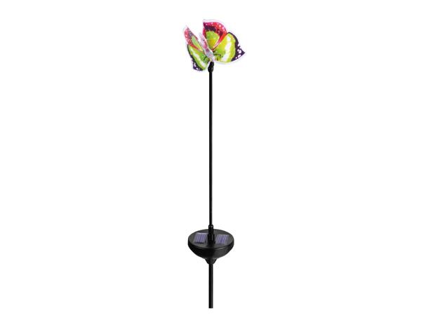 Decorative Solar-Powered Light