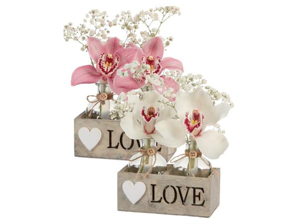 Cymbidium 2 flowers