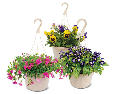 10" Hanging Flower Basket