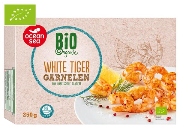 Bio White Tiger Garnelen