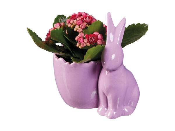 Easter Ceramic Bunny/​Chicken Plant