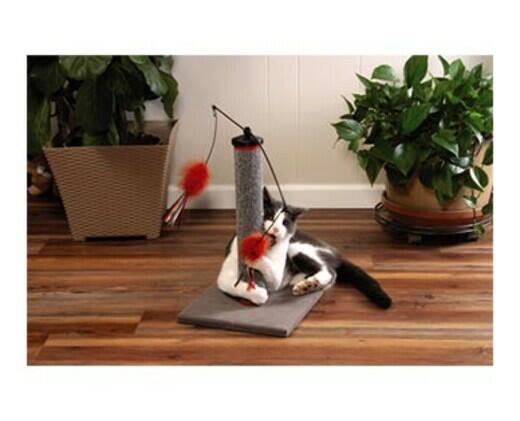 Heart to Tail 
 Cat Scratch and Play Post