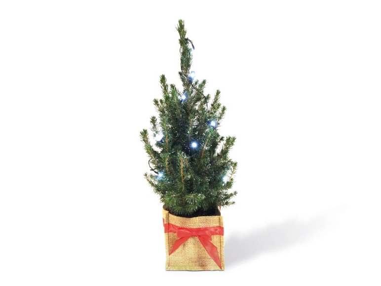 Glitter Christmas Tree with Lights