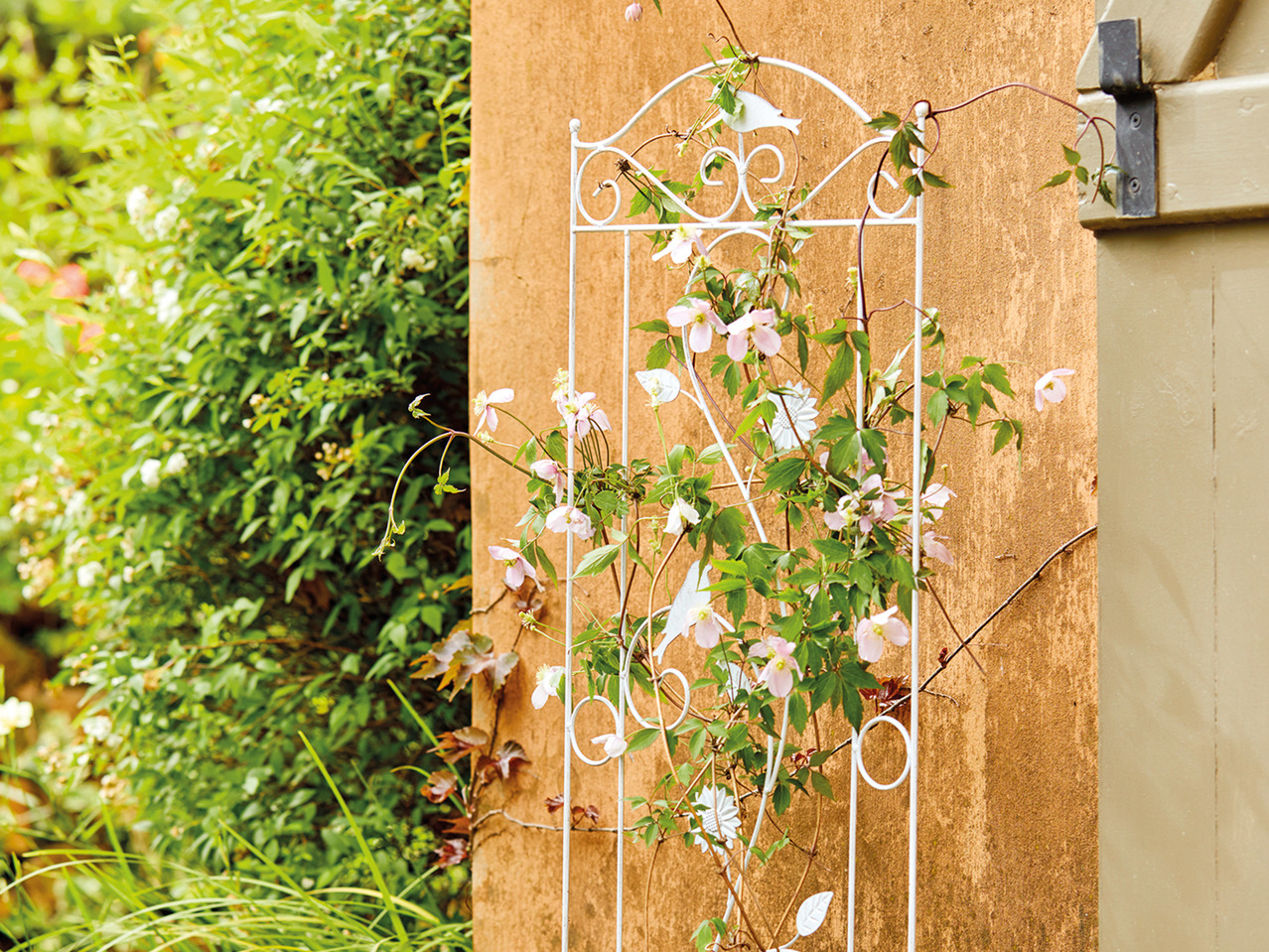 Florabest Metal Trellis1