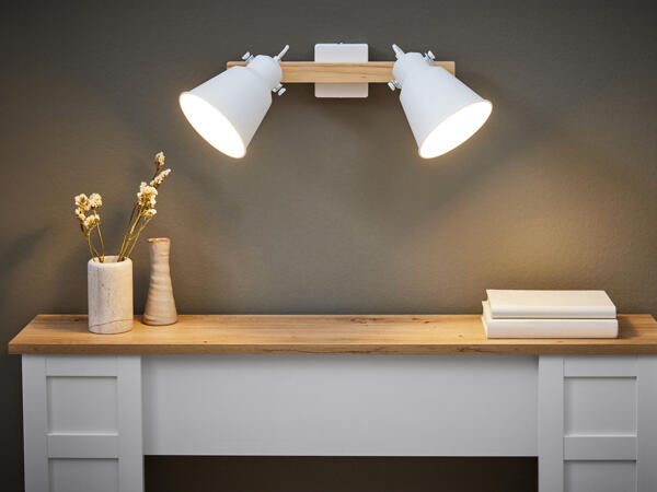 LED Ceiling Light