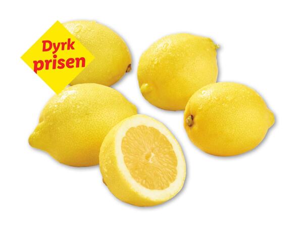 Økologiske citroner
