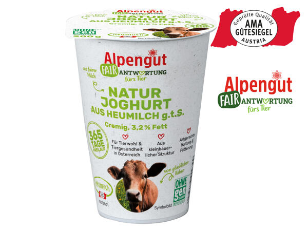 Heumilch Naturjoghurt