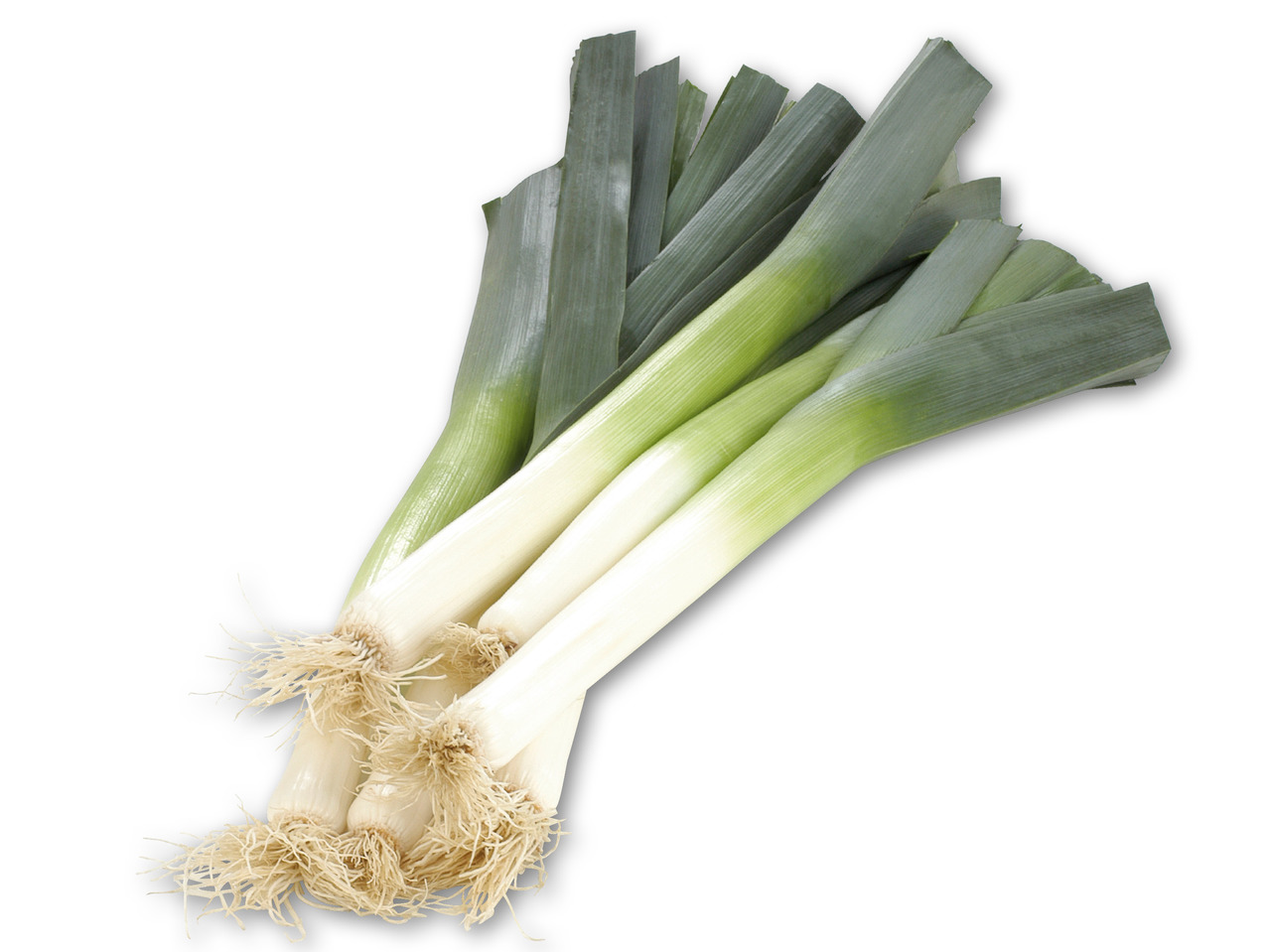 Danske porrer