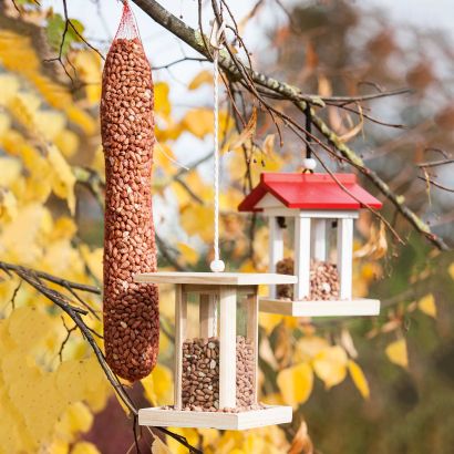 Maisonnette pour oiseaux