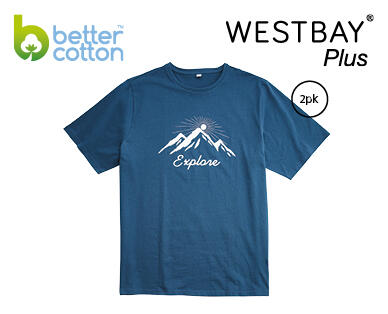 Men's Tee 2pk