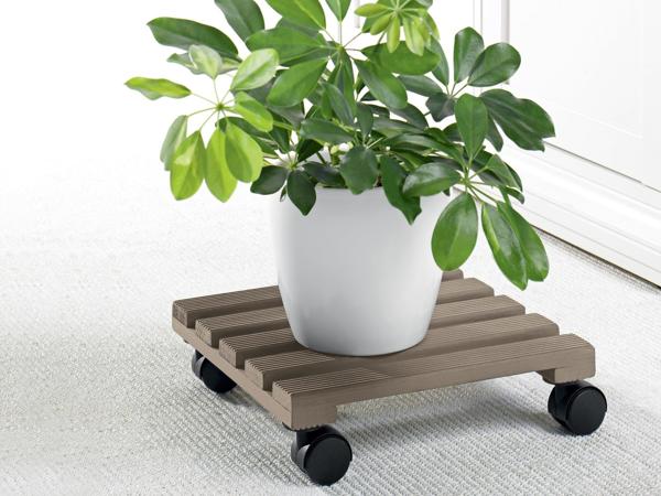 Plant Roller