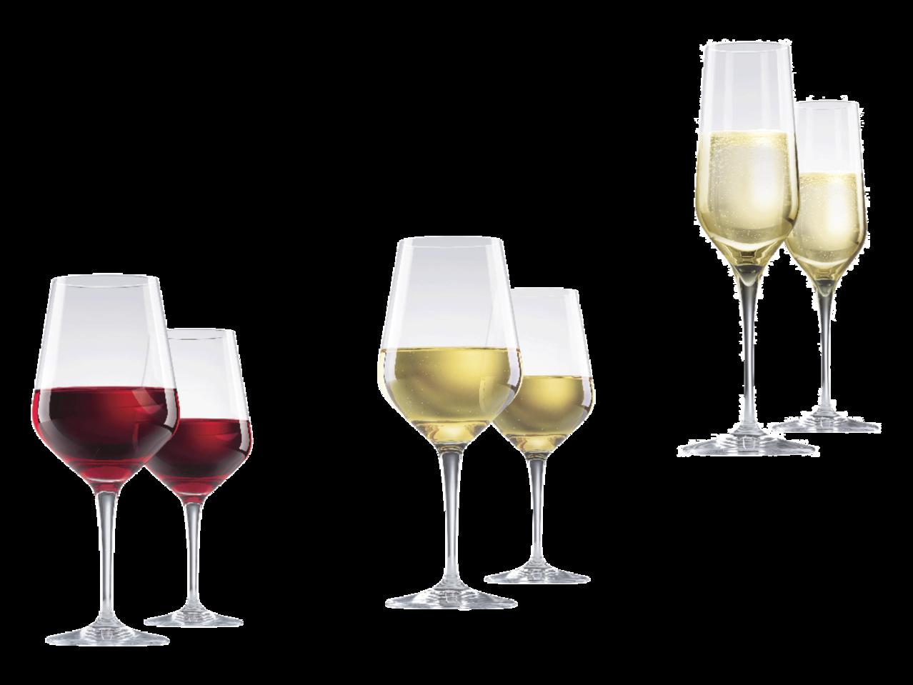 ERNESTO Wine Glasses/Champagne Flutes