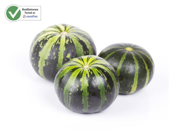 Eko vattenmelon mini