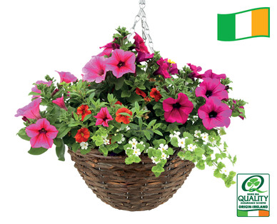 Rattan Hanging Basket