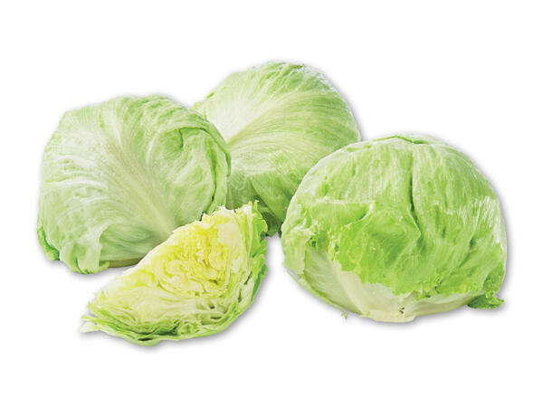 Økologisk dansk icebergsalat
