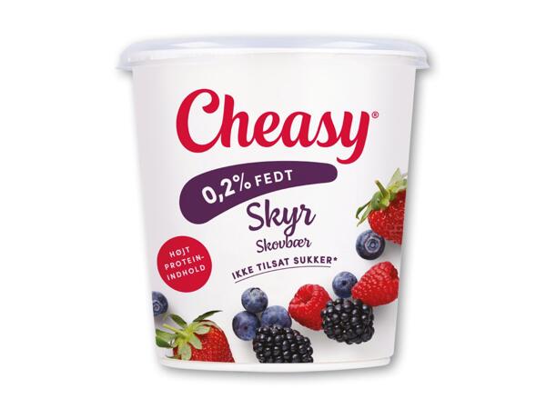 CHEASY Skyr