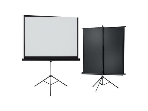 PROJECTOR SCREEN