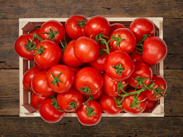 Tomates en grappe