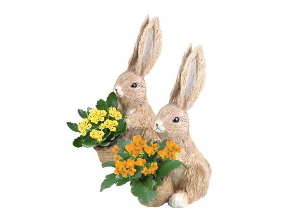 Small Bunny Arrangement