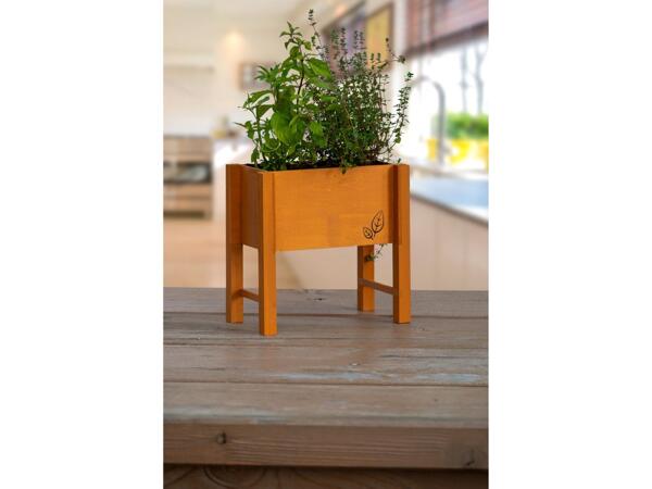 Raised planter box for herbs