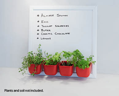 Magnetic Whiteboard Planter