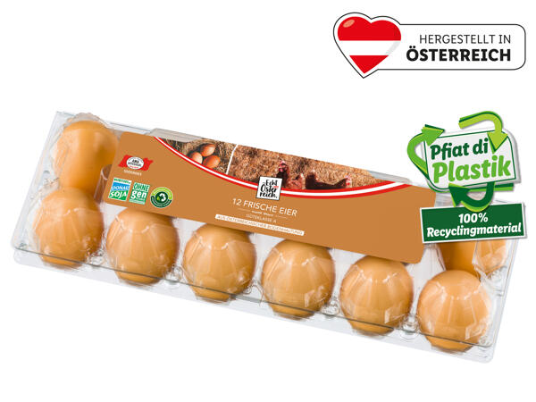 Frische österreichische Eier aus Bodenhaltung