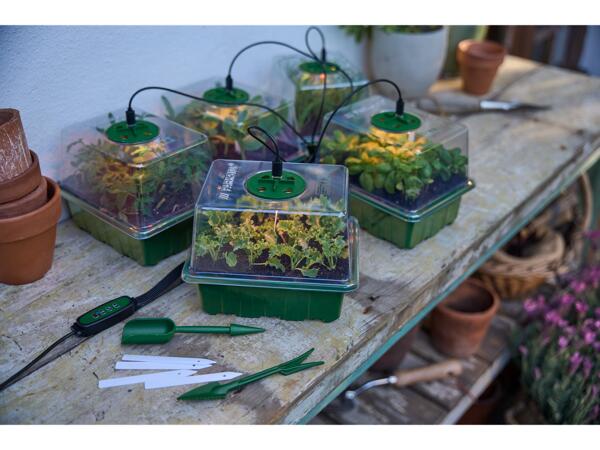 Propagator Assortment