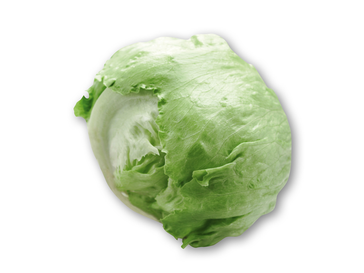 Danske iceberg salat