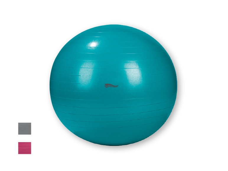 CRIVIT Exercise Ball