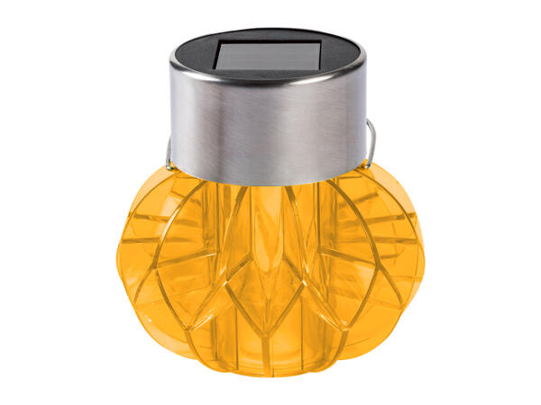 Livarno Home LED Solar Light