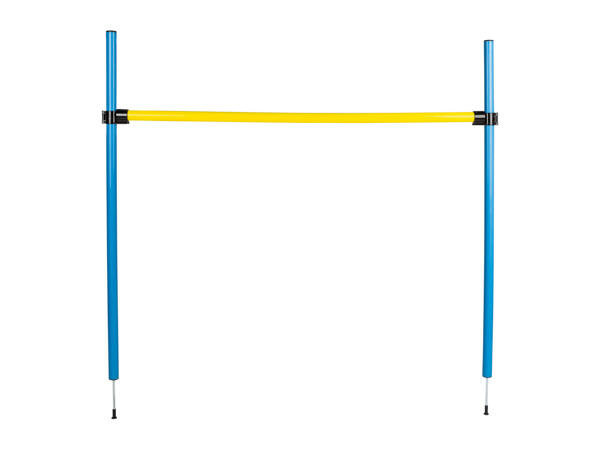 Zoofari Dog Agility Set