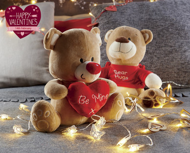 Valentine's Bear