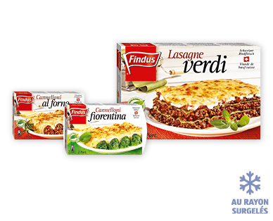 Cannelloni al forno/Cannelloni fiorentina/Lasagne verdi FINDUS(R)