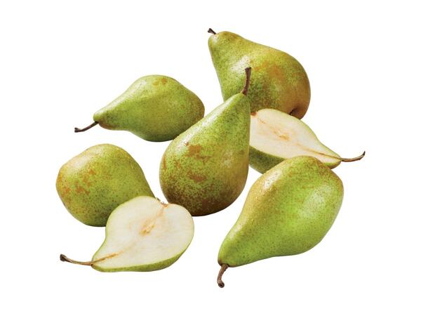 XXL Conference Pears