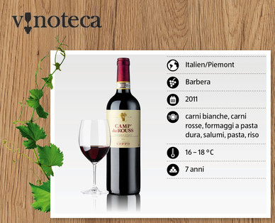 Barbera d'Asti Camp du Rouss COPPO