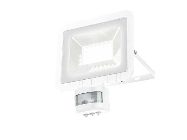 24W LED Outdoor Floodlight