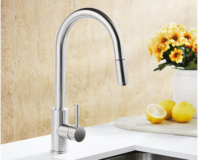 Kitchen Mixer Tap