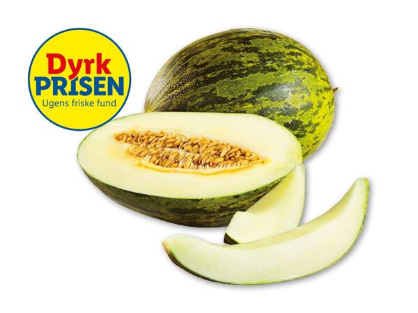 Piel de sapo melon