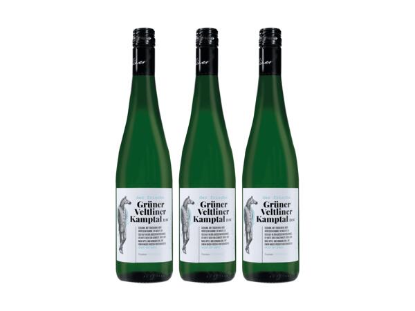 Grüner Veltliner Kamptal