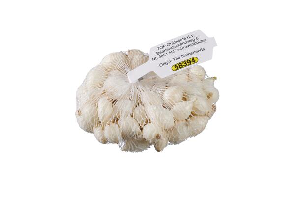 Seed Onion