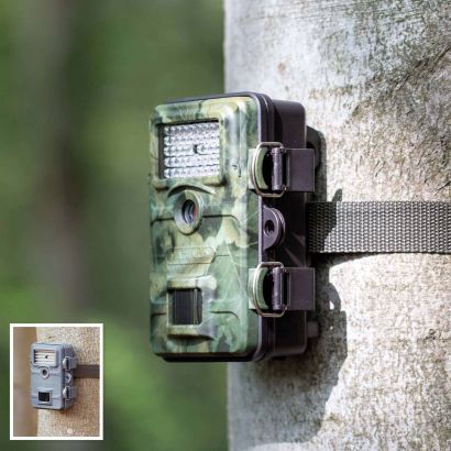 Appareil photo animalier