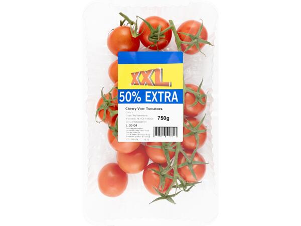 XXL Cherry Vine Tomatoes