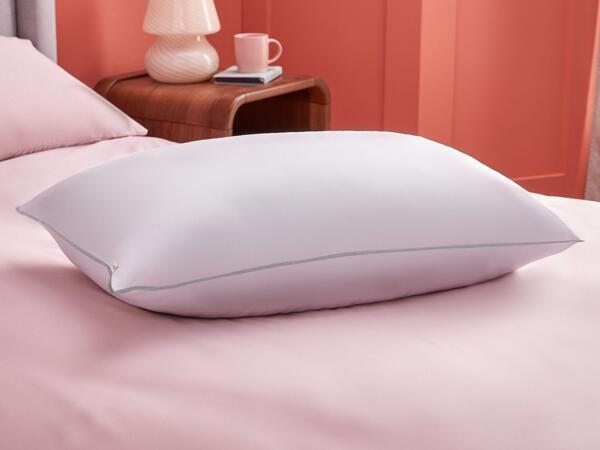 The Big One Pillow