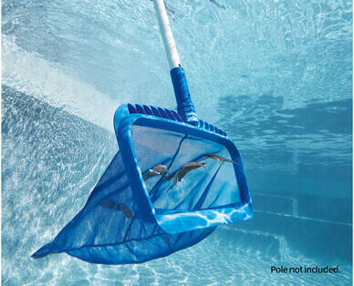 Pool Leaf Rake or Wall Brush