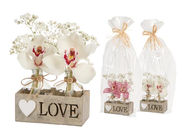 Orkidéblommor i presentförpackning