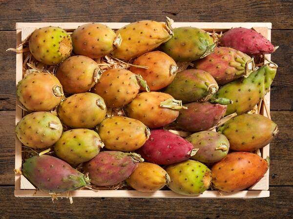 Figues de Barbarie