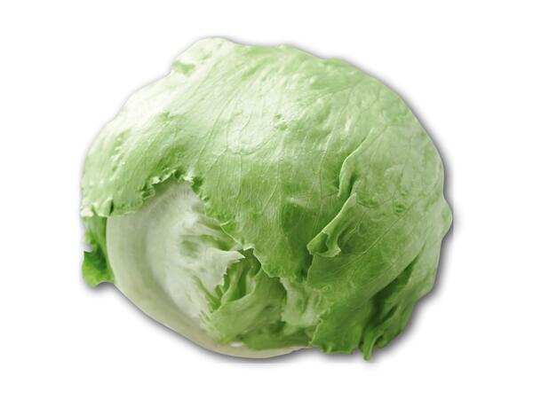 Økologisk agurk eller icebergsalat