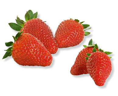 Fraises premium